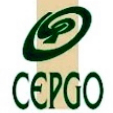 Cepgo, Sa De Cv