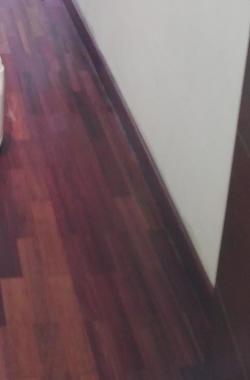 Decoraiones:Julio Cesar 