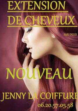 extension de cheveux