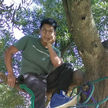 Wilfrido
