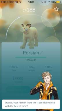 Líder da equipe medindo o potencial de meu Persian recém-evoluido.