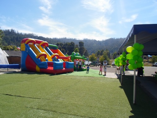 organizador de eventos infantiles