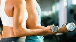 Gym Austerlitz