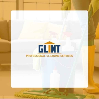 Glint Professional Service Limited