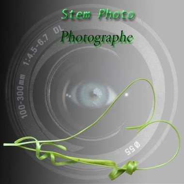 Stem Photo
