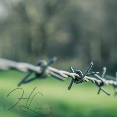 Hl Photography