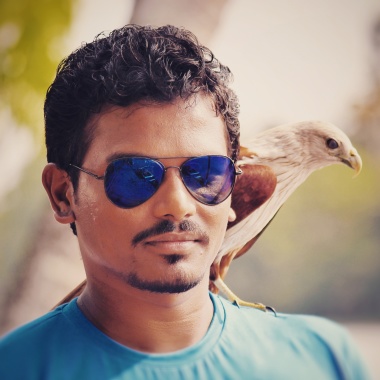 Falcon Eye Photography