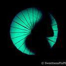 Sweetnesspix Photographie 