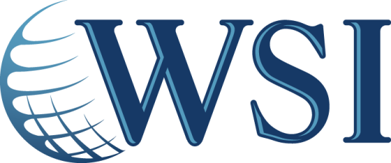 WSI Tecnologia Online