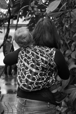 photographie portage Nancy