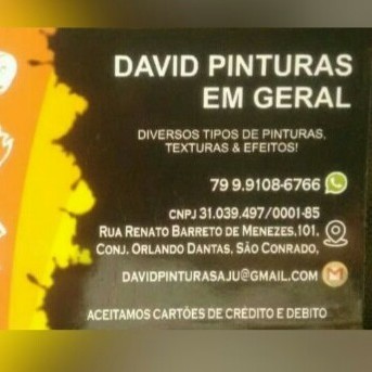 David Pinturas Em Geral