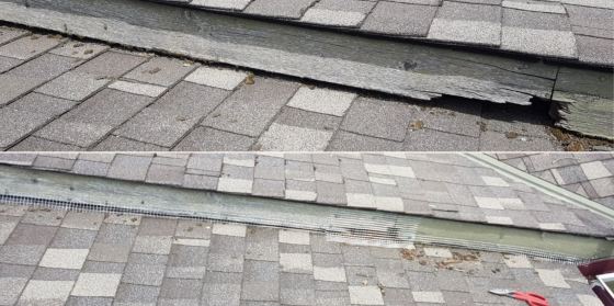 Humane Solutions Roof Exclusion