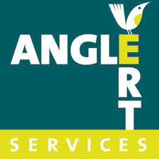Angle Vert Services Pro