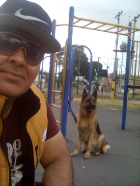 ADIESTRANDO PASTOR ALEMÁN
