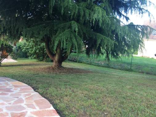 Le grand jardin de la maison