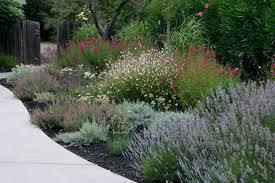 jardines con plantas mediterraneas