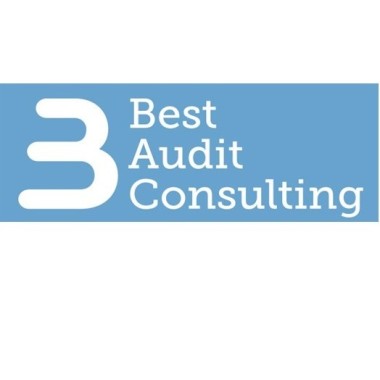 Best Audit Consulting, Sl