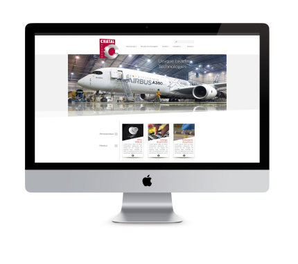 Web design du groupe Chatal
www.chatal.com
