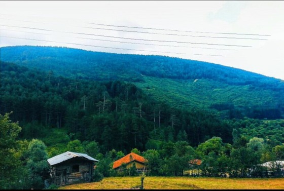 Manzara