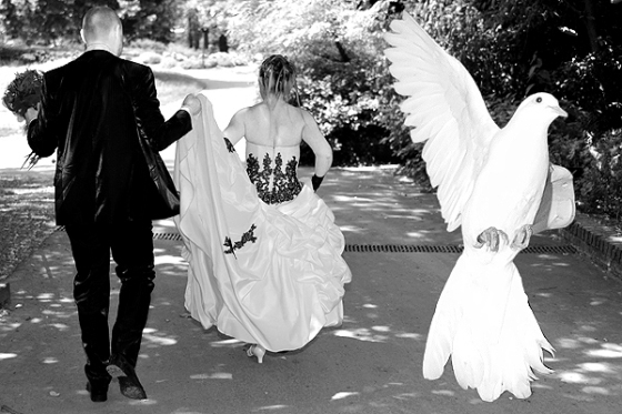 Vidéo Mariage