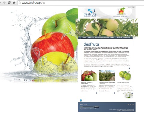 Tradução para espanhol do Site Desfruta