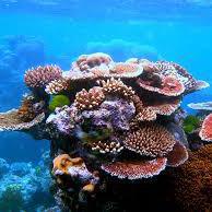 Genieys Aquaconcept