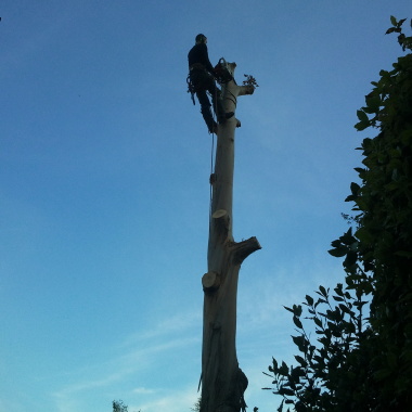 Jardin Service Paca