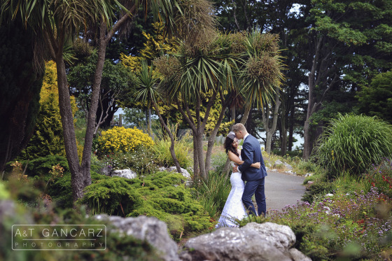 Wedding Photogrphy