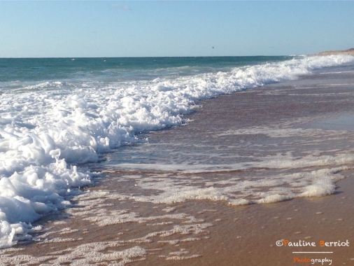 Plage - Hossegor