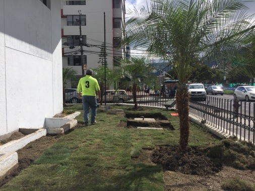 Diseño de jardines