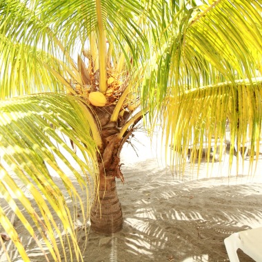 Ron-X Photographie