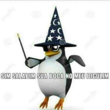 Pinguim