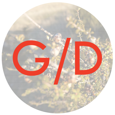 G/D Landscapes