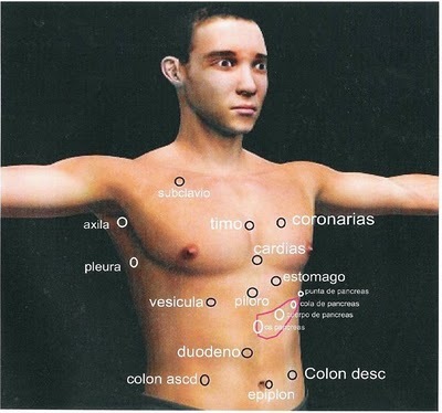 Ejemplo de puntos en el cuerpo