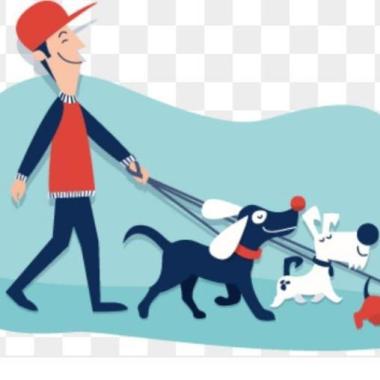 Paseador De Mascotas