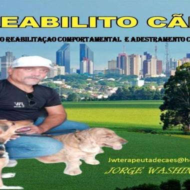 Jwterapeutadecães