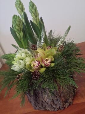 Contenitore realizzato con corteccia di albero dove trovano posto bulbi di giacinto,orchidee,ornitogallo,veronica,muschio,pigne e verde sottobosco