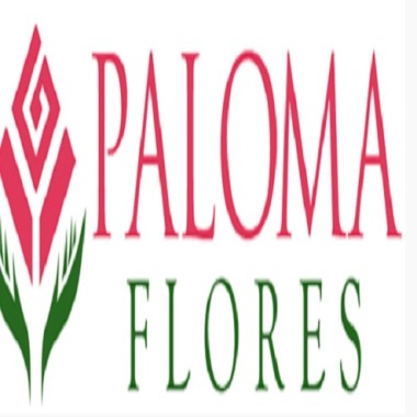 Paloma Flores