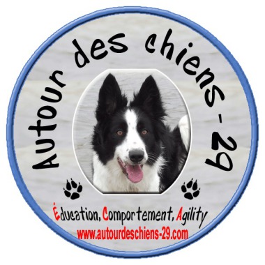 Autour Des Chiens 29
