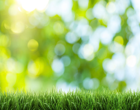 Prestige Lawn Care