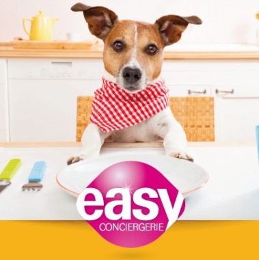 Easy Conciergerie