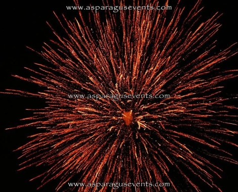 www.asparagusevents.com