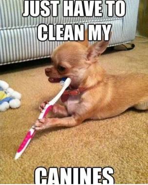 Higiene oral