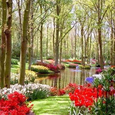 Jardines De La Ribera
