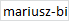 Firma Hydrauliczno Budowlana Mariusz Biernacki