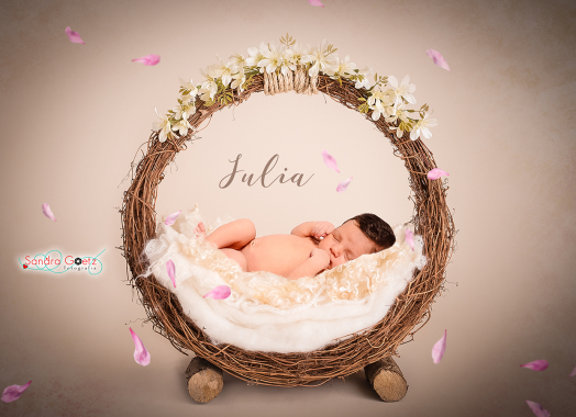 Newborn em Cenário Virtual