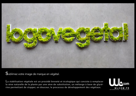 WLCOM transforme votre logo en végétal !  Aucun entretien nécessaire, ni engrais, ni arrosage, ni lumière...d'une durée de vie de 10 ans minimum...plusieurs couleurs disponibles (pigments naturels).  WLCOM  RDV: 0689969404 (Wahiba LEMERLE) (Devis GRATUIT)
