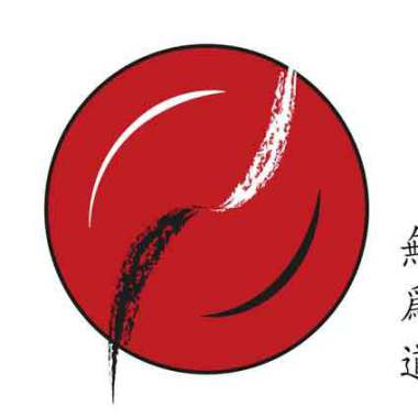 Professeur Diplomé De Kung Fu Wushu