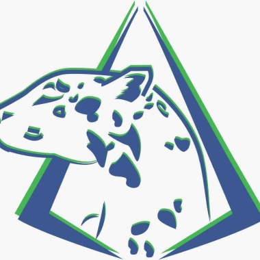 Gapa Consultoria Ambiental E Ingenieria