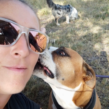 Dog Pawsitiv’ Training